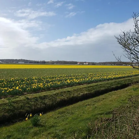 بيت للعطل Duinnest *