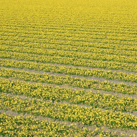 Duinnest بيت للعطل *