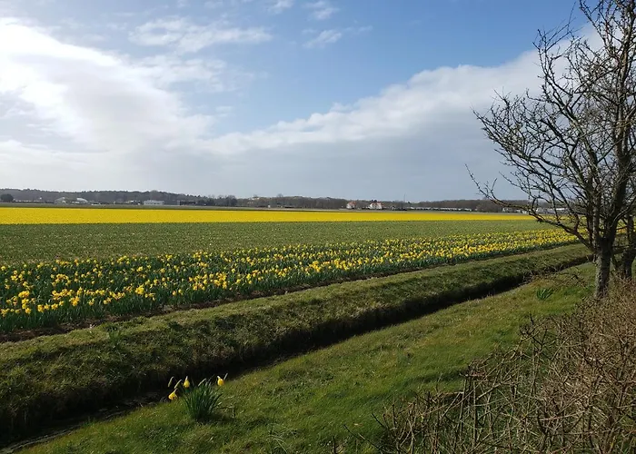 בית נופש Duinnest *