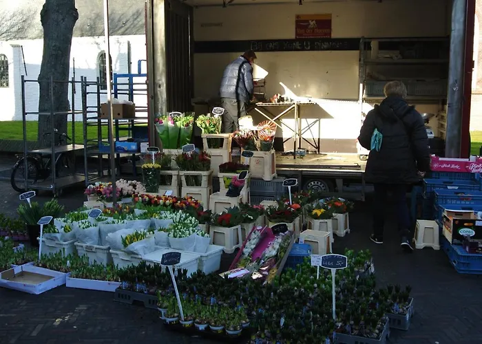 Duinnest נורדוויקרהוט