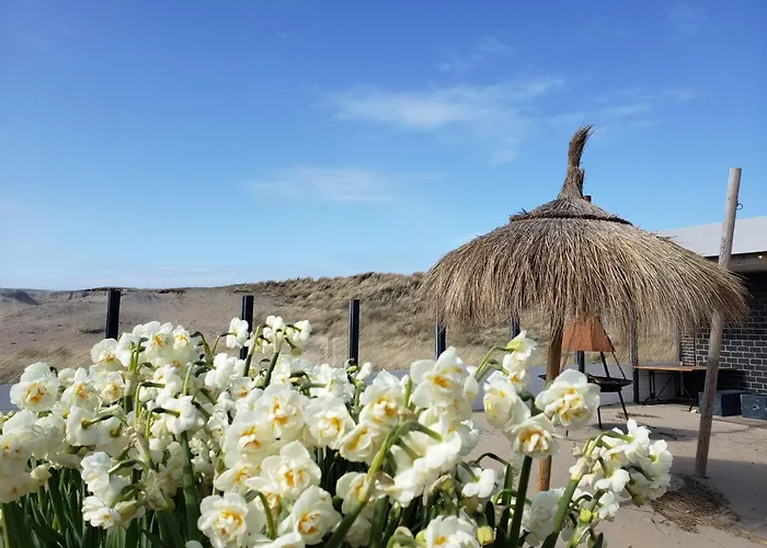 Duinnest נורדוויקרהוט