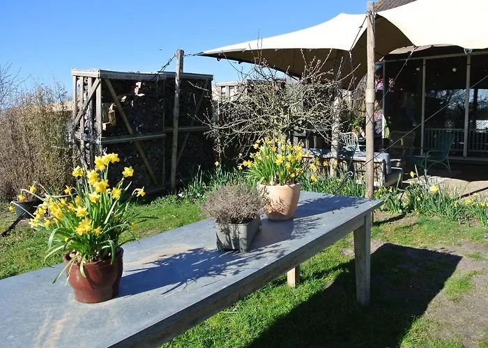 בית נופש Duinnest