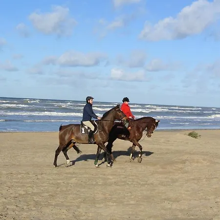 Duinnest * Noordwijkerhout