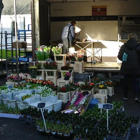 Duinnest Noordwijkerhout