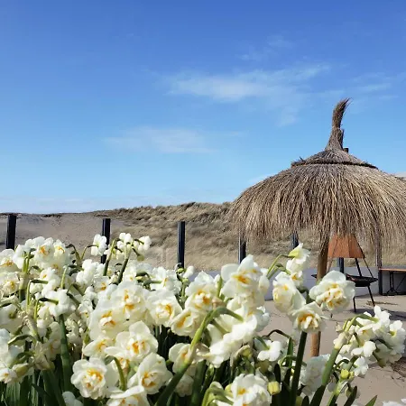 Duinnest Noordwijkerhout