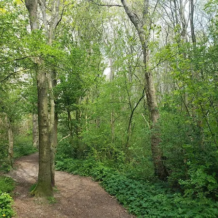 Duinnest Tatil Evi Noordwijkerhout