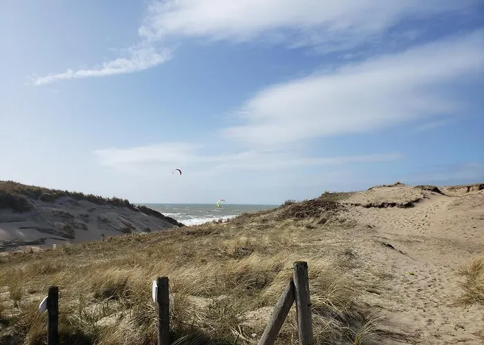 Duinnest * Noordwijkerhout