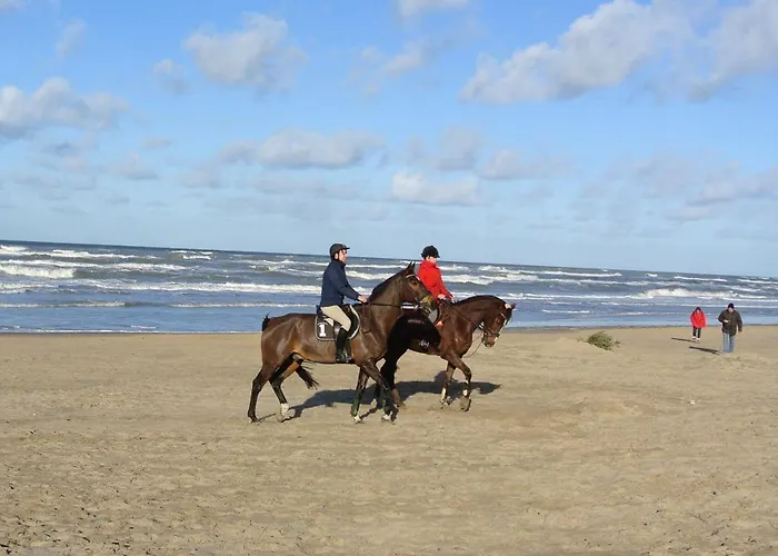 Duinnest * Noordwijkerhout