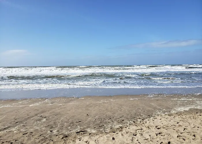 Duinnest Vakantiehuis Noordwijkerhout