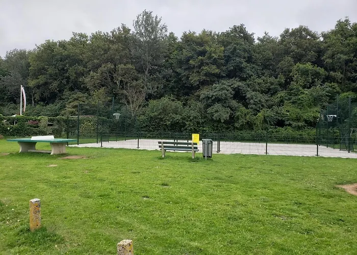 Duinnest Noordwijkerhout