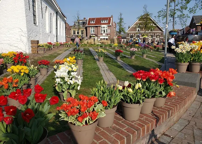 Vakantiehuis Duinnest *