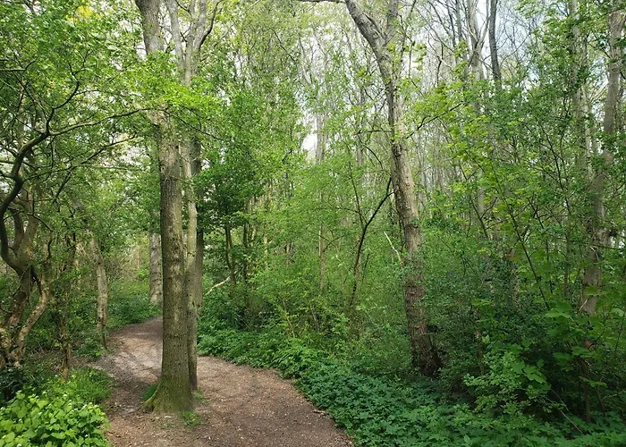 Duinnest Vakantiehuis Noordwijkerhout